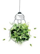 Green living - Kinleigh, Folkard & Hayward