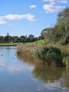 Camberwell: Buzzy and bohemian - Kinleigh Folkard & Hayward