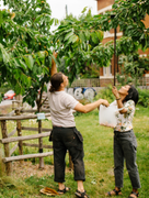 Urban Growth - Kinleigh, Folkard & Hayward