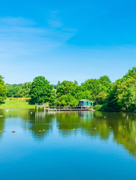 Hampstead Ponds - Kinleigh, Folkard & Hayward